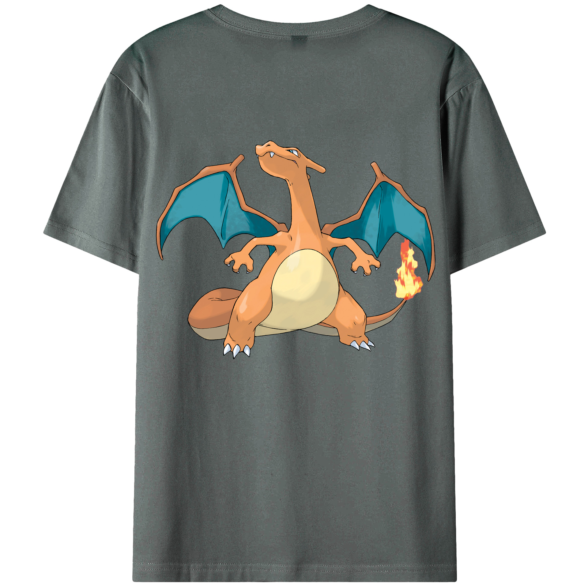 （画像用） ポケットモンスター Pokémon 綿100％半袖Tシャツ（背面プリント）
